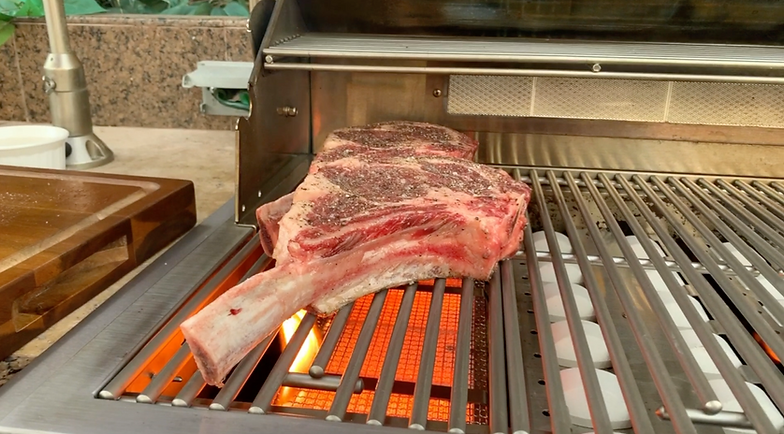 Infrared Sear Burner